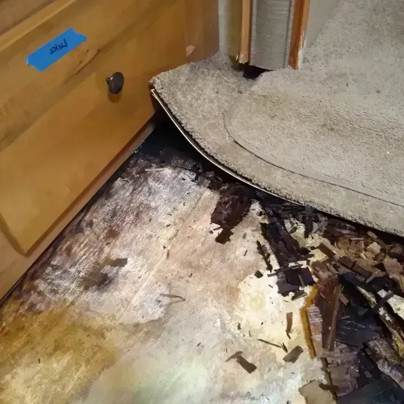 Wood Floor Water Damage in Ashland, MO